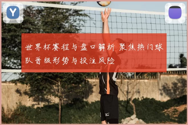 世界杯赛程与盘口解析 聚焦热门球队晋级形势与投注风险