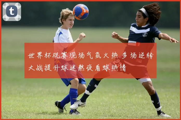 世界杯观赛现场气氛火热 多场逆转大战提升球迷熬夜看球热情