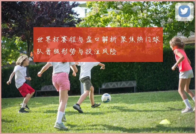 世界杯赛程与盘口解析 聚焦热门球队晋级形势与投注风险