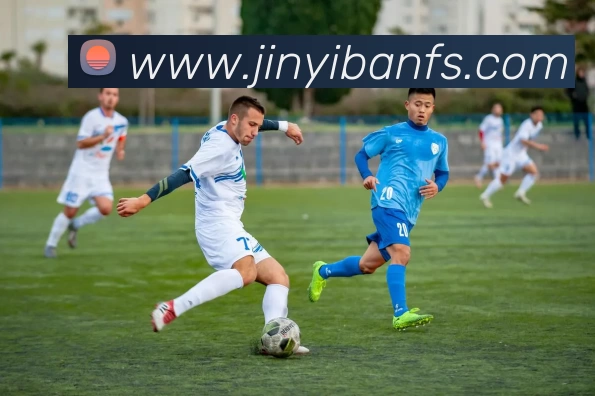 易倍emc(中国)官方网站 - 塑造体育新生态平台生态图